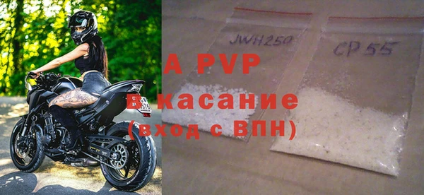 прущие крисы Горняк